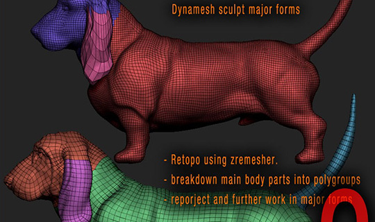 creating a basset hound in MAya Zbrush and Arnold