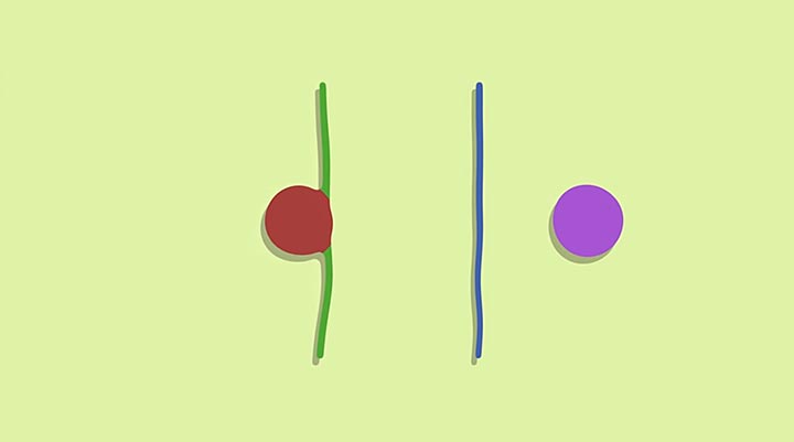 shape layer