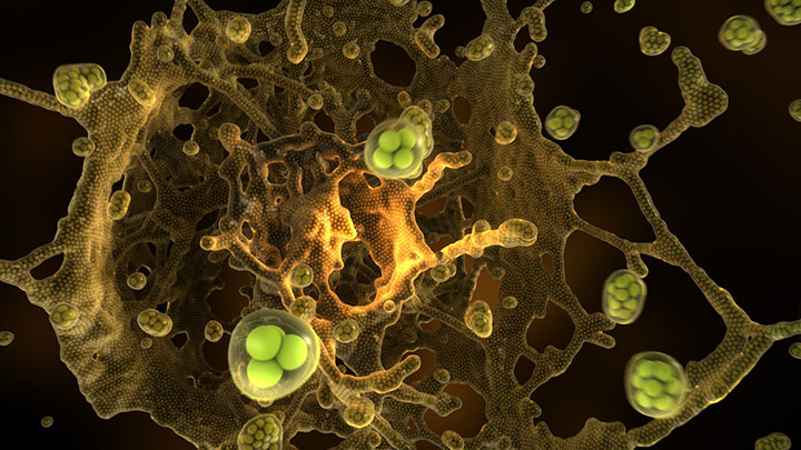 emPolygonizer5 for Maya, MODO, Fabric Engine and Softimage