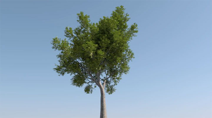 Forester4D for Cinema 4D