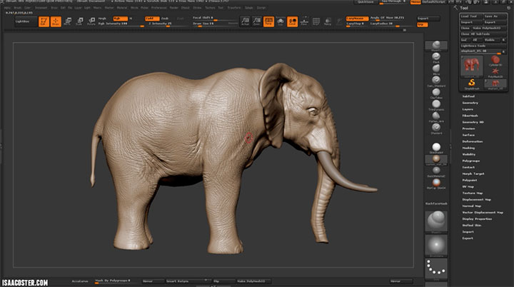 sculpting a realistic elephant in zbrush