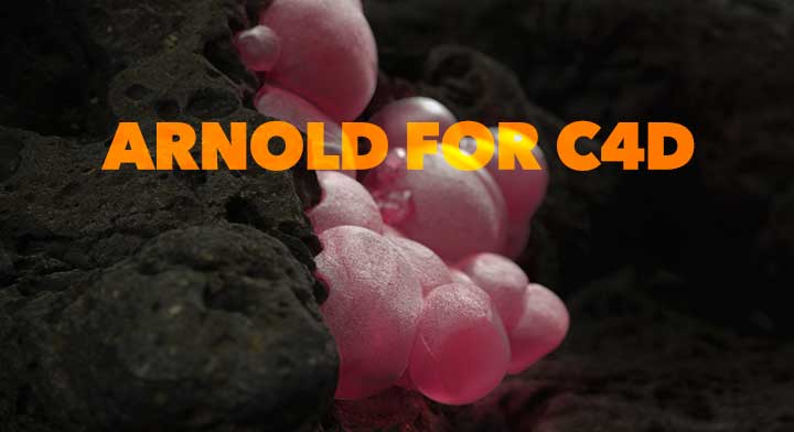 C4DtoA arnold for cinema 4d