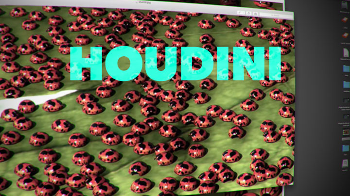 Creating, Rigging, Animating, and Rendering a Ladybug Within Houdini