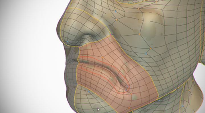 Data Driven Retopology