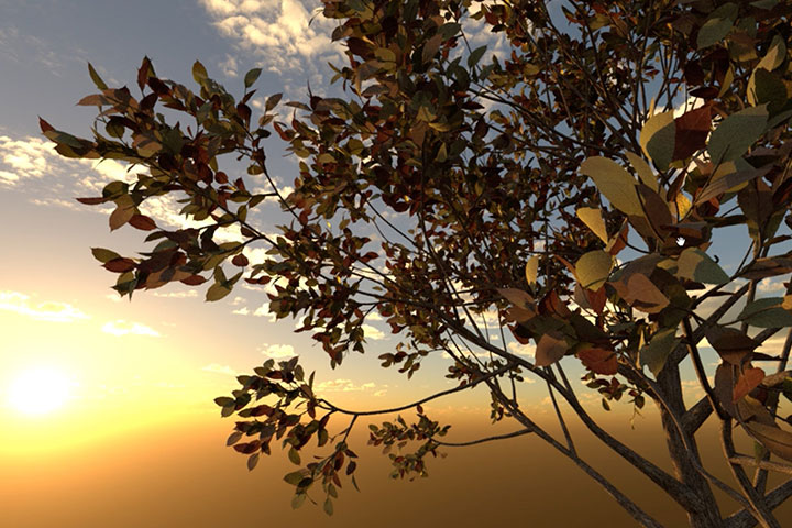 Creating a Tree and Leaves With Corona C4D