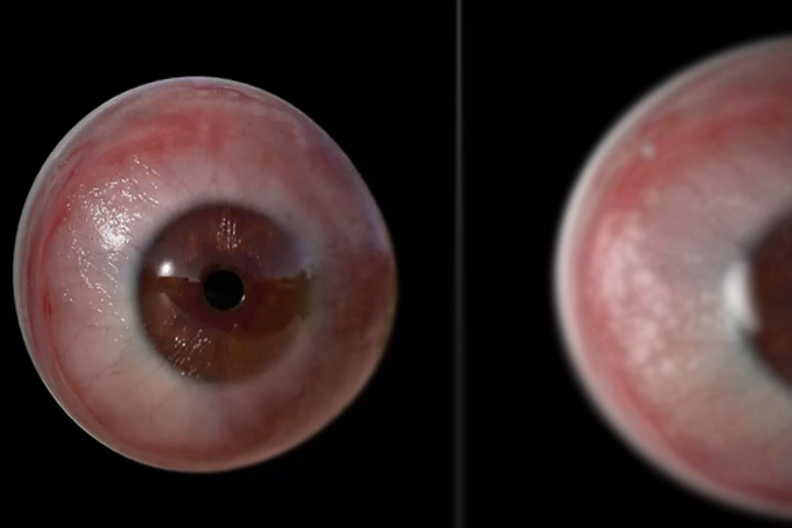 Realistic Eye Shaders With Arnold in Maya