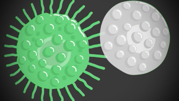 Make Particles Using Vector Strokes in After Effects