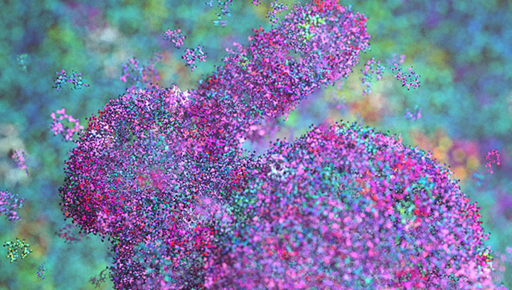 Myriad Grains Enhances Per-Particle Manipulation in Maya