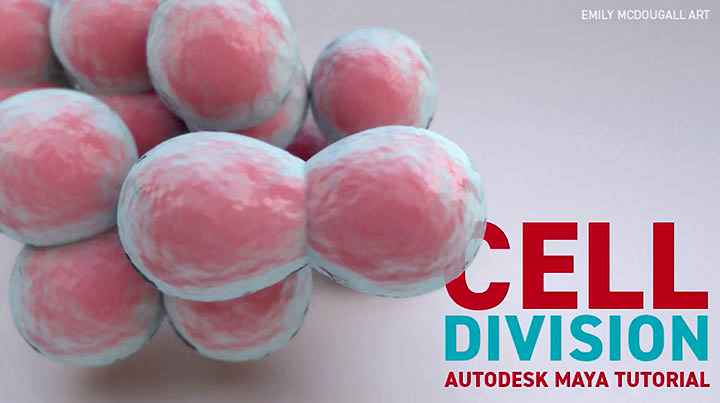 An Easy Approach to Animating Cell Division in Maya