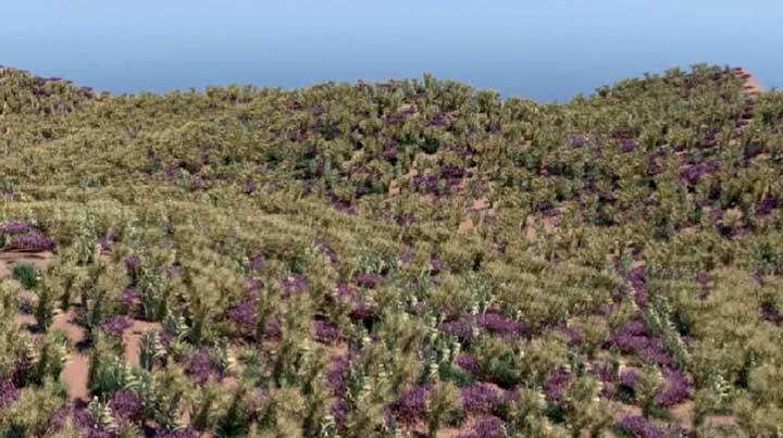How to Populate Vegetation With Paint FX, MASH & Arnold Stand-Ins