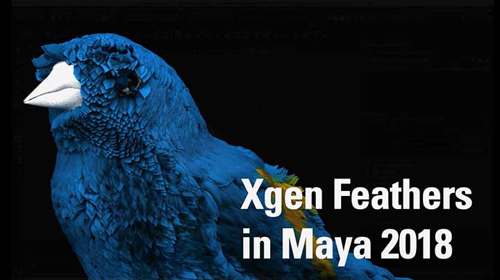 How to Place Feathers on a Bird With Maya Xgen