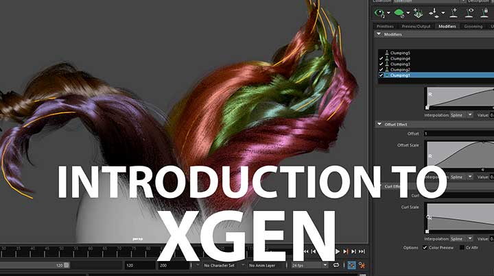 Learn the Basics of Xgen Grooming