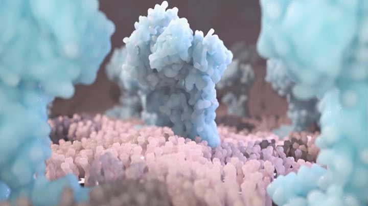 Creating and Rendering a Membrane in Cinema 4D