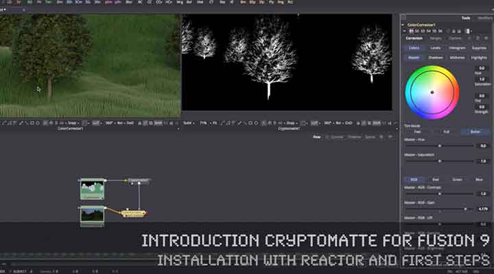 An Introduction to Using CryptoMattes in Fusion 9