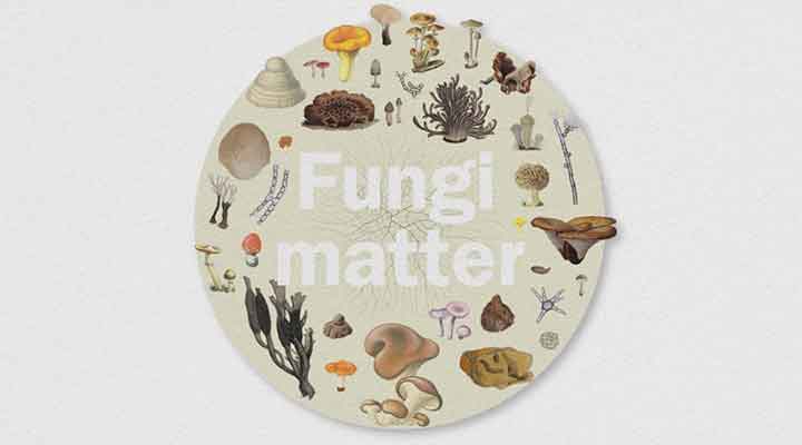 Fungi Matter