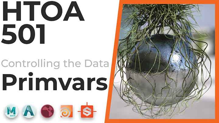 Creating and Controlling Arnold Primvars in Houdini