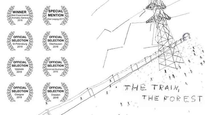 The Train, The Forest