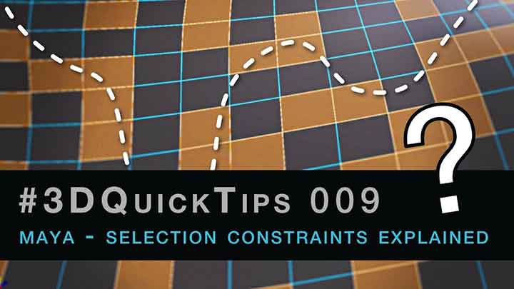 Everything You Wanted to Know About Selection Constraints