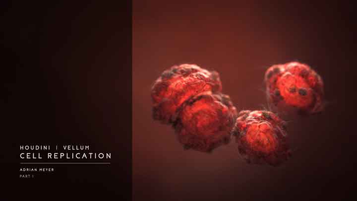 How to Create Cell Division with Houdini Vellum