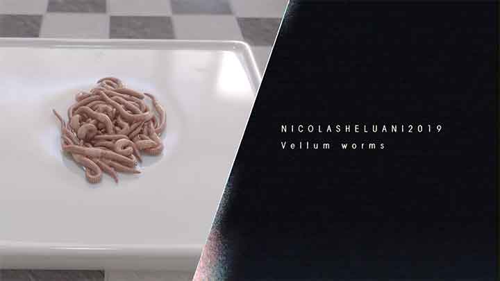 Make Houdini Vellum Driven Wiggly Worms