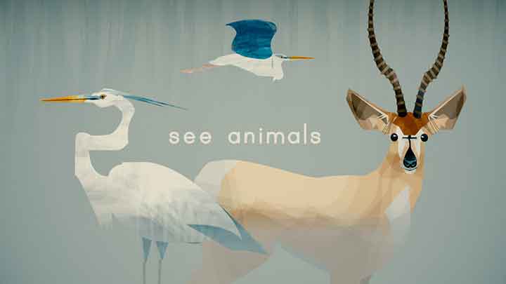 See Animals