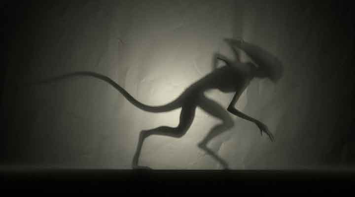 How to Create Shadow Play With C4D and Redshift