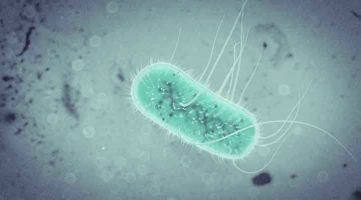 How to Create a Bacteria Animation in Cinema 4D