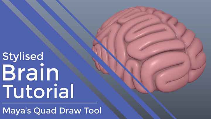 How to Create a Stylized Brain With Quad Draw in Maya