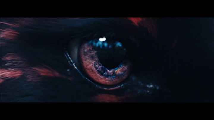 The Odd One Out Forward Festival Main Title Sequence