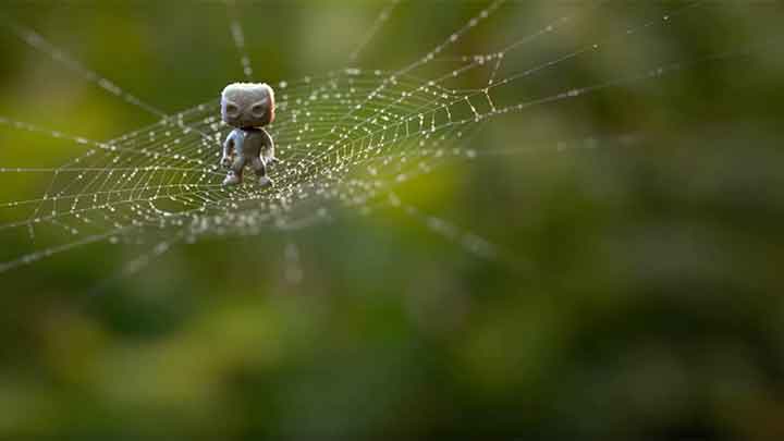 Creating and Rendering a Spiderweb with Houdini, Maya, Arnold