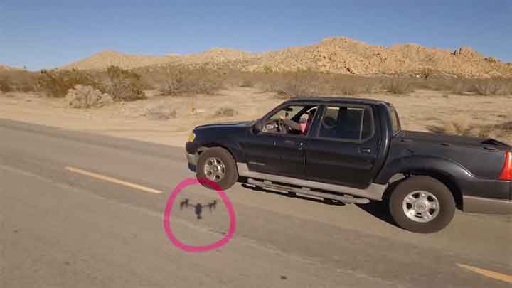 How to Remove a Drone Shadow Using Nuke Projection Mapping