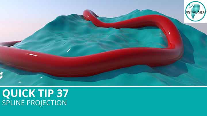 Methods for Creating a Spline Projection in C4D