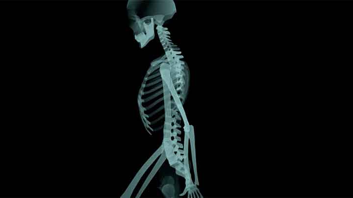 How to Create an Xray Shader With Arnold and Maya