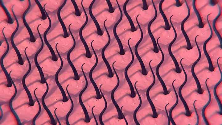 Body Patterns