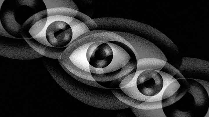 The Feather - Sister (Official Video)