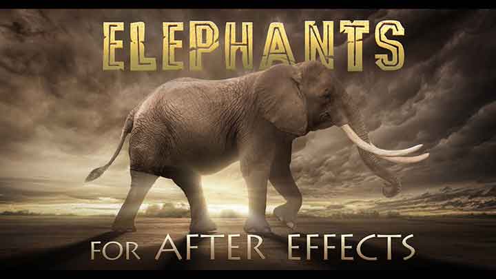 Check Out These Fun Horse and Elephant Puppets for Ae