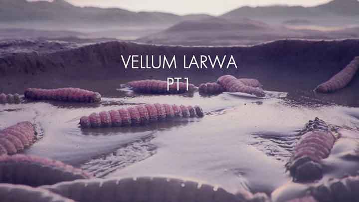 How to Create and Animate Larvae Using Vellum