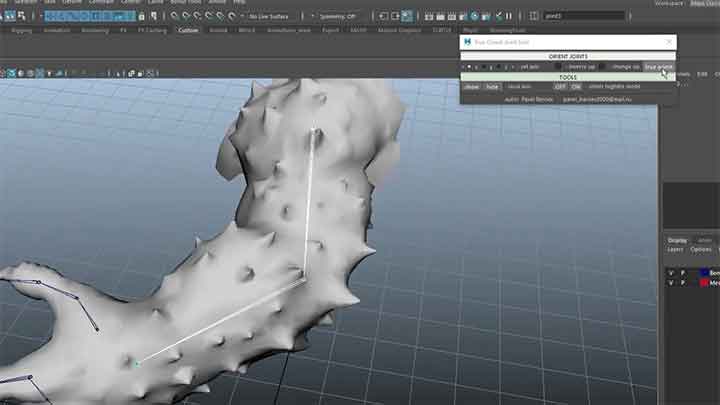 Check Out This True Joint Orientation Tool for Maya