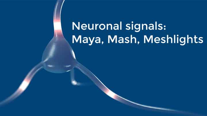 How to Animate a Neuron Signal Using MASH