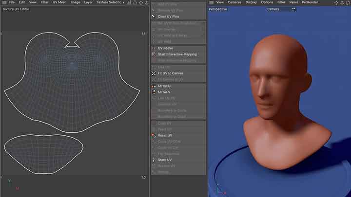 How to Manually Unwrap UVs in C4D S22
