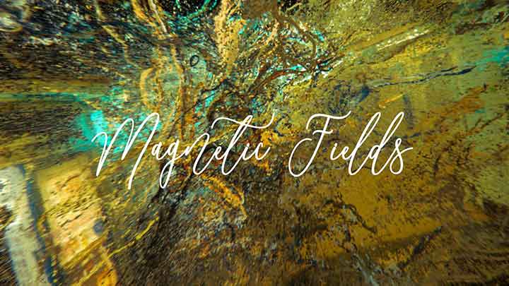 Magnetic Fields