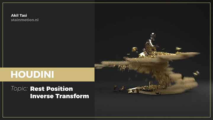 A Brief Overview of Rest Position and Inverse Transformation
