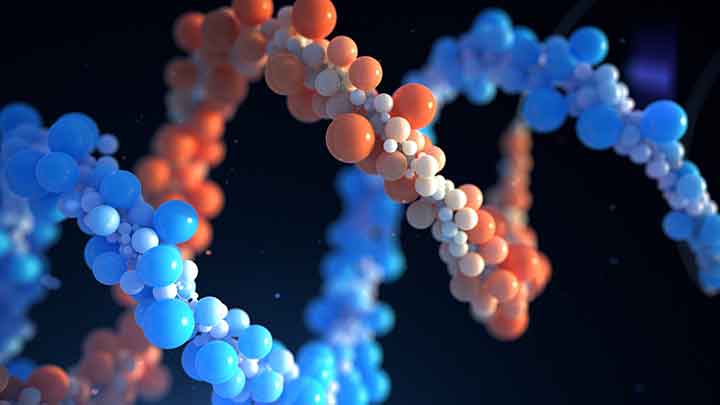 Insidium Releases X-Particles With Massive Updates