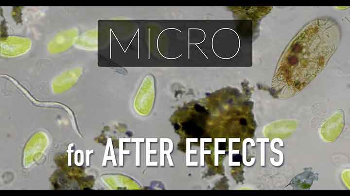 Micro Creates Realistic Microscopic Animations in Ae