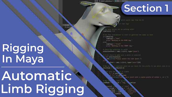 How to Script an Automatic Limb Rigging Tool in Maya