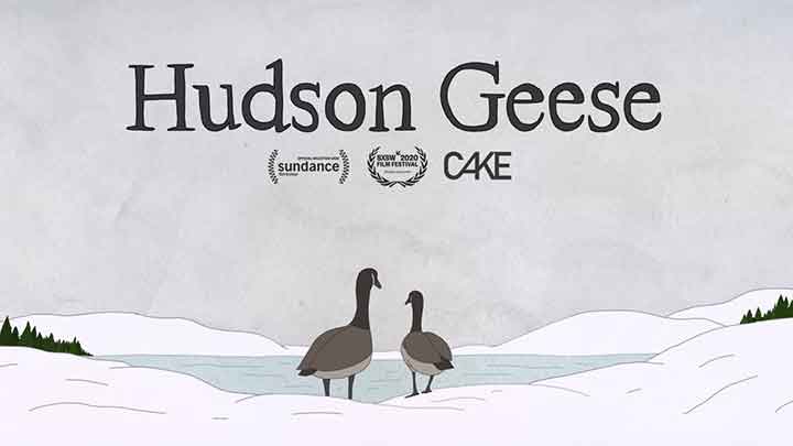 Hudson Geese