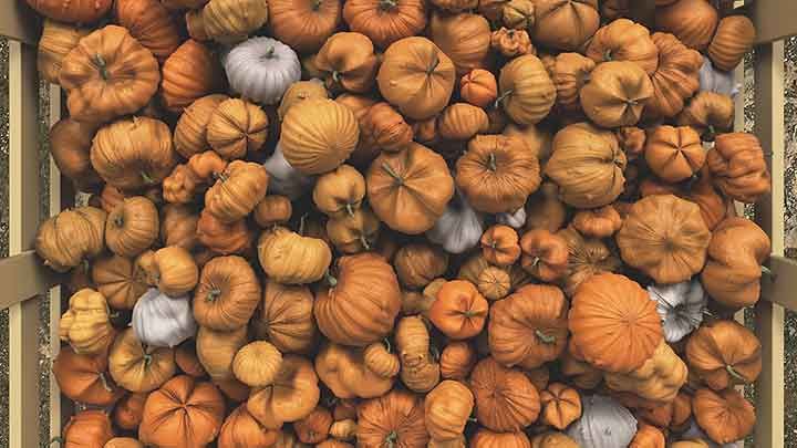 How to Model, Simulate and Render Lots of Pumpkins in Houdini