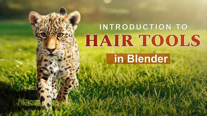 Get a Better Understanding of Blender's Hair Tools With this Guide