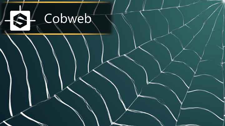 Creating a Cobweb Pattern With a Designer Shape Node