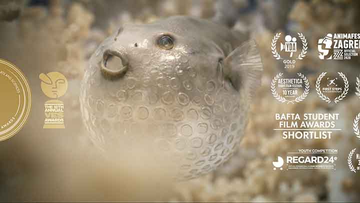 The Beauty - Animated Short
